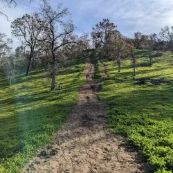 San Joaquin River Trail - Lodi