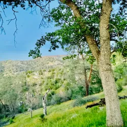 San Joaquin River Trail - Lodi