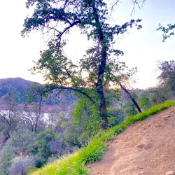 San Joaquin River Trail - Lodi