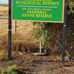 Woodbridge Ecological Reserve - Lodi