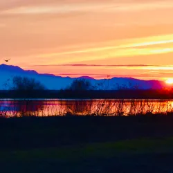 Woodbridge Ecological Reserve - Lodi