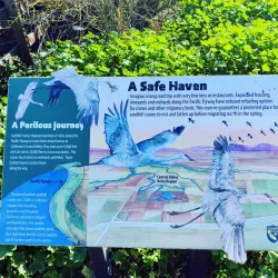 Woodbridge Ecological Reserve - Lodi