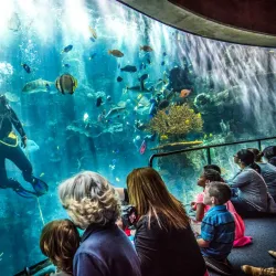 Aquarium of the Pacific - Long Beach