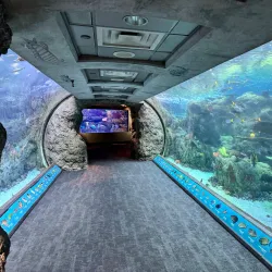 Aquarium of the Pacific - Long Beach