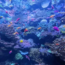 Aquarium of the Pacific - Long Beach