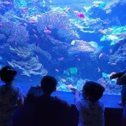 Aquarium of the Pacific - Long Beach