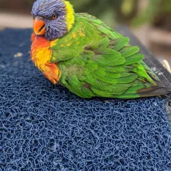 Aquarium of the Pacific - Long Beach