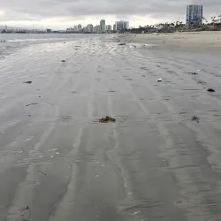 Belmont Shore - Long Beach