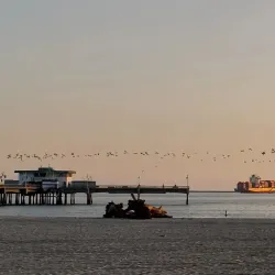 Belmont Shore - Long Beach