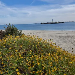 Bluff Park - Long Beach