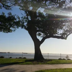 Bluff Park - Long Beach