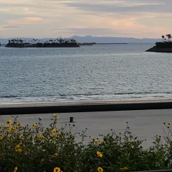 Bluff Park - Long Beach