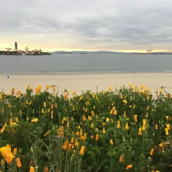 Bluff Park - Long Beach