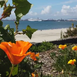 Bluff Park - Long Beach