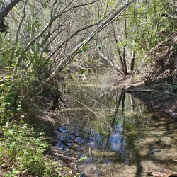 El Dorado Nature Center - Long Beach
