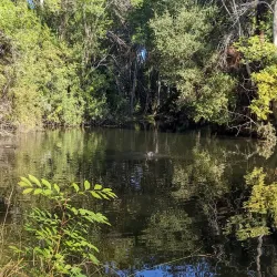 El Dorado Nature Center - Long Beach