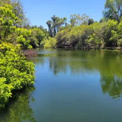 El Dorado Nature Center - Long Beach