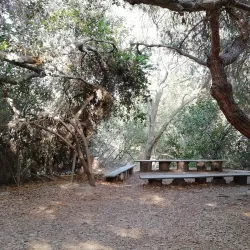 El Dorado Nature Center - Long Beach