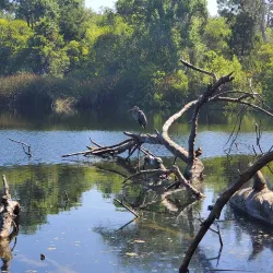El Dorado Nature Center - Long Beach