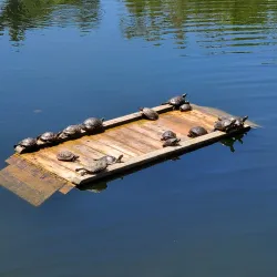 El Dorado Nature Center - Long Beach