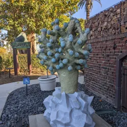 Long Beach Museum of Art - Long Beach