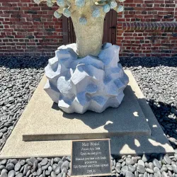 Long Beach Museum of Art - Long Beach