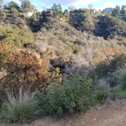 Hollywood Sign - Los Angeles