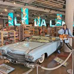 Hollywood Walk of Fame - Los Angeles