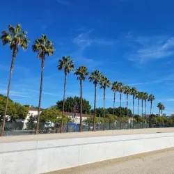 Los Angeles County Museum of Art (LACMA) - Los Angeles