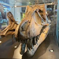 Natural History Museum of Los Angeles County - Los Angeles