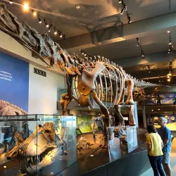 Natural History Museum of Los Angeles County - Los Angeles