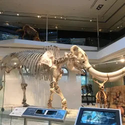 Natural History Museum of Los Angeles County - Los Angeles