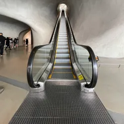 The Broad Museum - Los Angeles