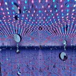 The Broad Museum - Los Angeles