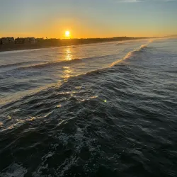 Venice Beach Boardwalk - Los Angeles
