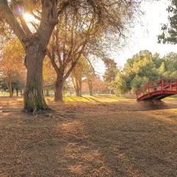 Liberty Park - Madera