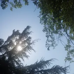 Liberty Park - Madera