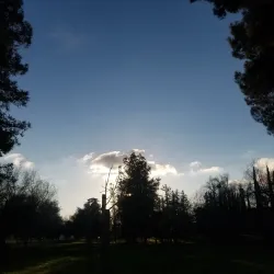 Liberty Park - Madera