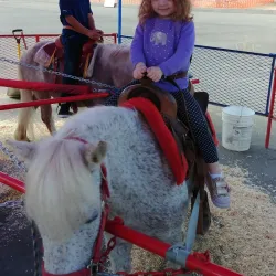 Madera District Fairgrounds - Madera