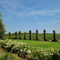 Madera Wine Trail - Madera