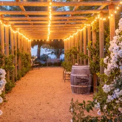 Madera Wine Trail - Madera