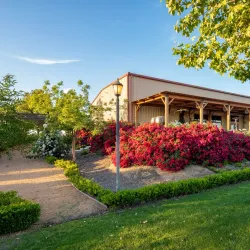 Madera Wine Trail - Madera