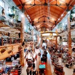 Bass Pro Shops - Manteca