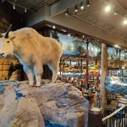 Bass Pro Shops - Manteca