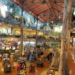 Bass Pro Shops - Manteca