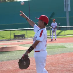 Big League Dreams Sports Park - Manteca