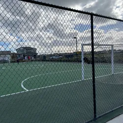 Lions Oak Park - Manteca