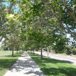 Manteca Community Park - Manteca