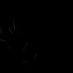 Manteca Golf Course - Manteca