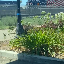 Manteca Transit Center - Manteca